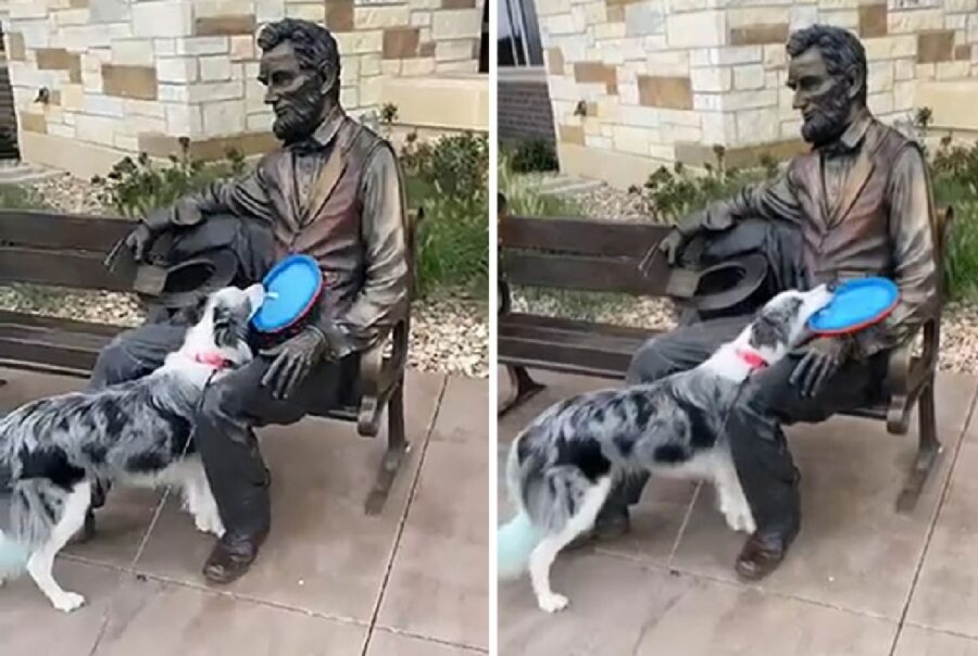cane cerca di giocare con statua