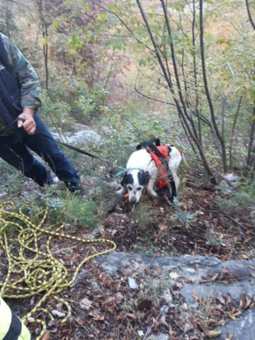 Cagnolino cade in un burrone di 80 metri, salvo grazie ai Vigili del Fuoco