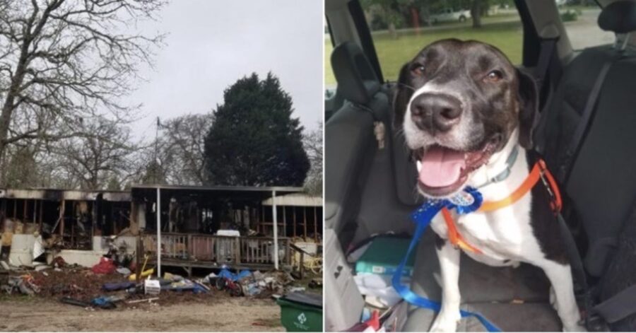 casa distrutta da incendio, persone salvate da un cane