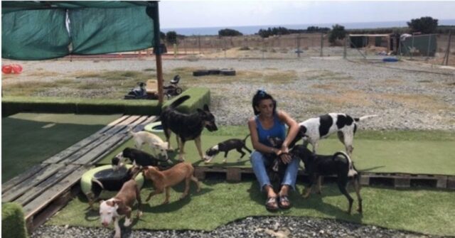 donna con tanti cani