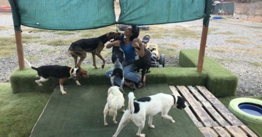 donna insieme ai cani ospiti del suo rifugio