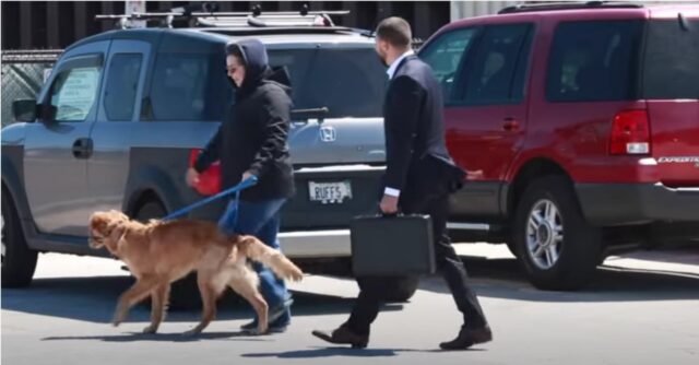 Esperimento sociale: uomo offre un sacco di soldi ai proprietari canini per comprare il loro cucciolo (VIDEO)