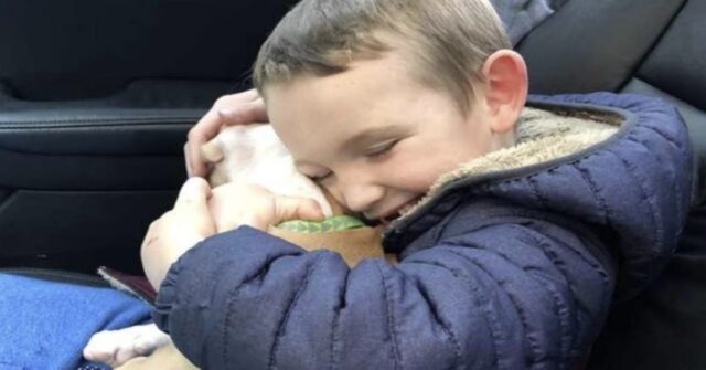 Un bambino si emoziona al ricevere il miglior regalo della sua vita