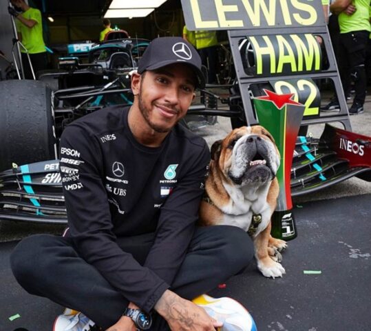 Lewis Hamilton, il campione di Formula 1, rischierebbe il tribunale per aver costretto il suo cane ad essere vegano