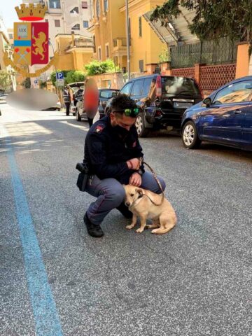 Poliziotto salva una cagnolina legata ad un palo sotto il sole e la adotta
