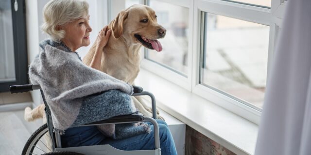 Romo, il cane abbandonato che ora fa felici gli anziani