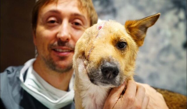 Sky, il cagnolino con “mezza faccia” che contro ogni aspettativa ce l’ha fatta