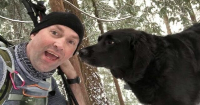 Degli escursionisti incontrano un cane in montagna e restano stupiti leggendo il messaggio scritto sulla targhetta del suo collare