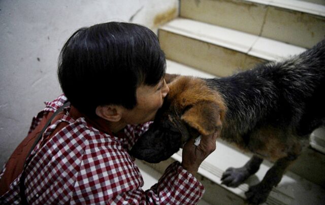 Wen Junhong, la donna che vive con i  1300 cani che ha salvato