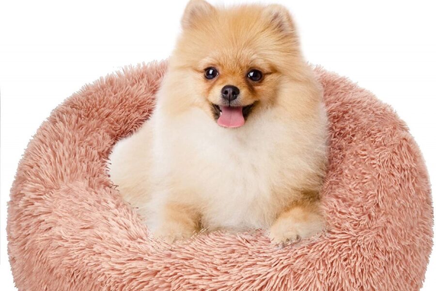 cuccia morbida e rosa per cane