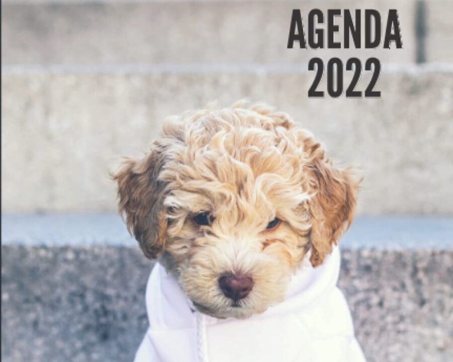 agenda con cane in maglietta