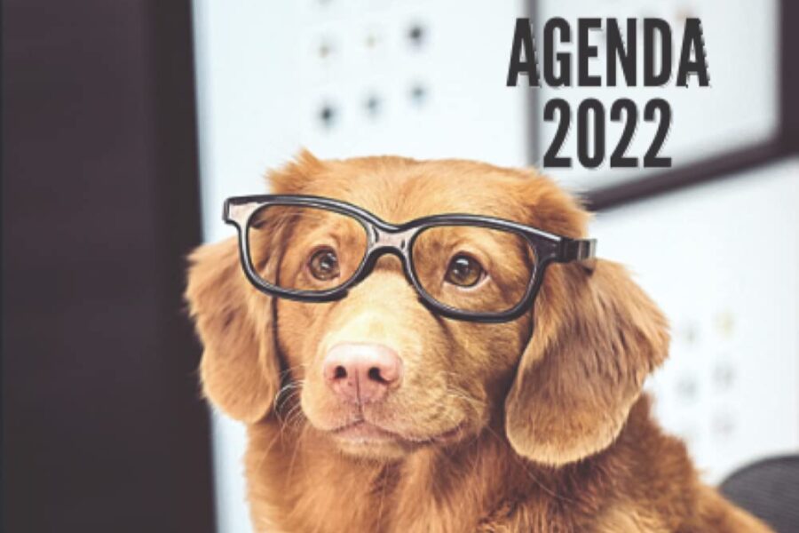 cane con occhiali agenda