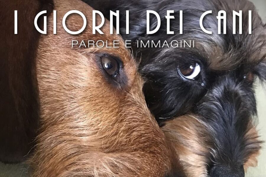 copertina di un calendario a tema cani