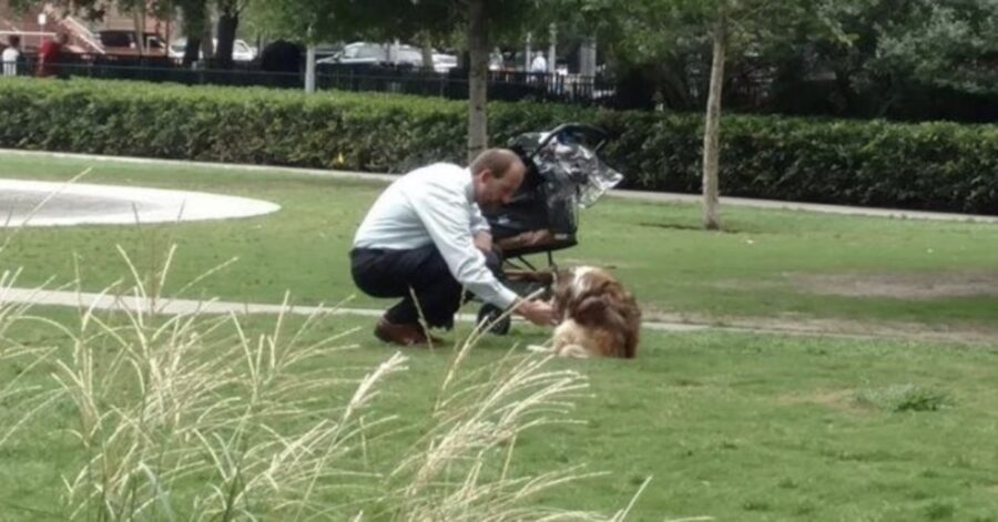 uomo porta cane paralizzato al parco