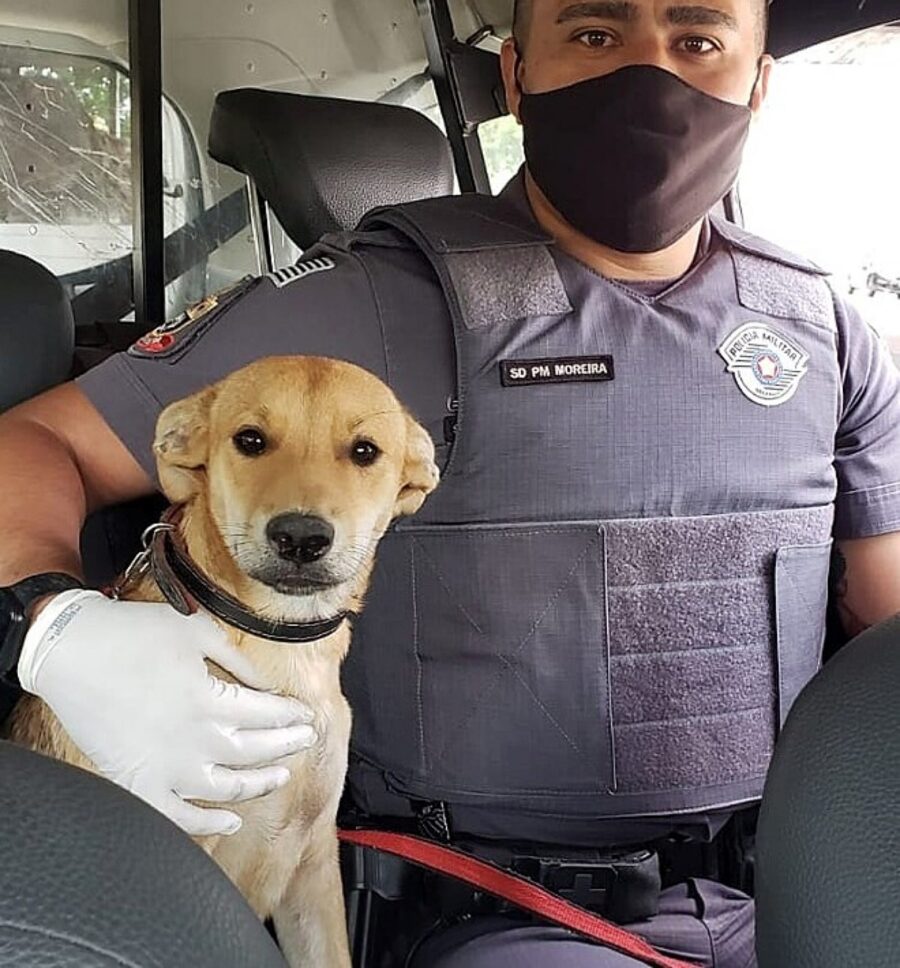 polizzioto con cagnolino