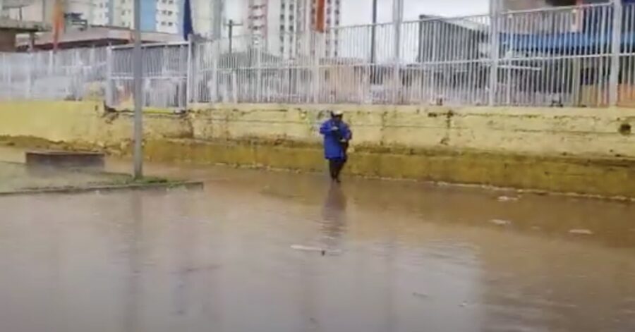 salvataggio cane durante inondazione