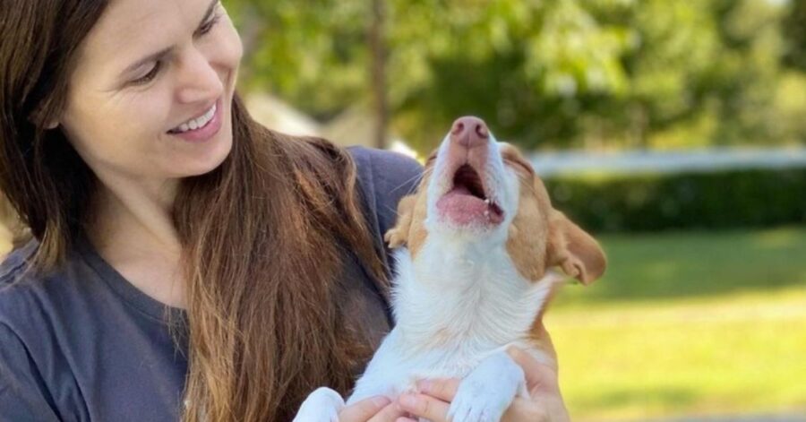 cane con proprietaria