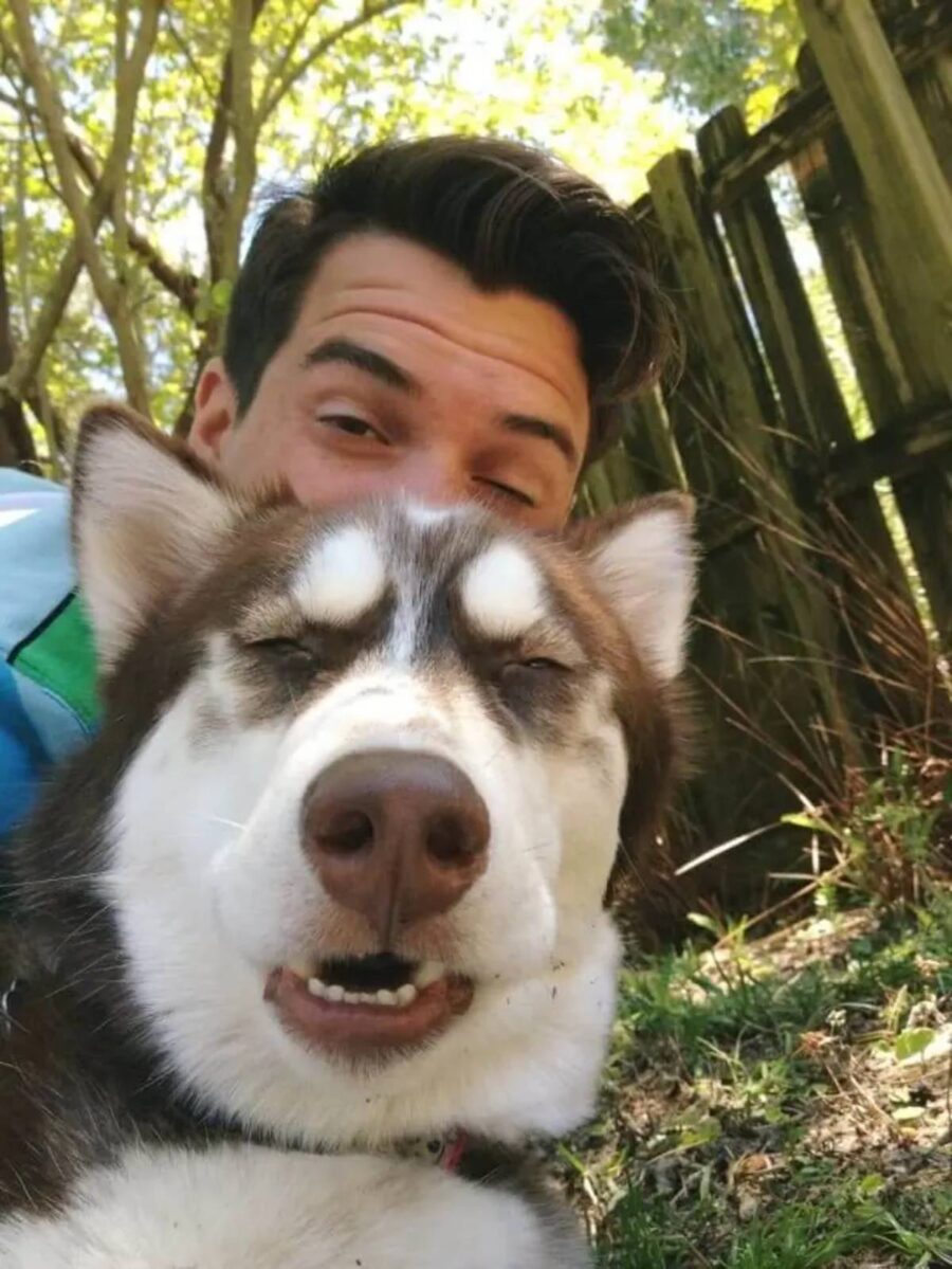 uomo e husky