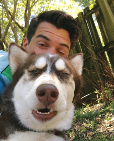 8 cani che odiano i selfie ma sembrano comunque molto carini