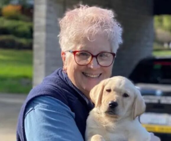 Cinquantasei cuccioli di cane guida sono stati addestrati da Marybeth Hearn