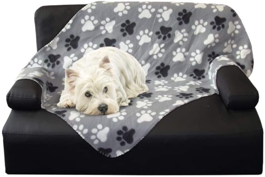 coperta per cane coccolone