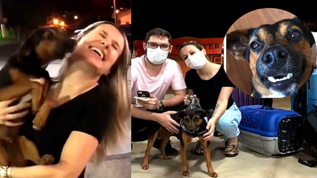 Una coppia trova un cane in un benzinaio e decide di adottarlo
