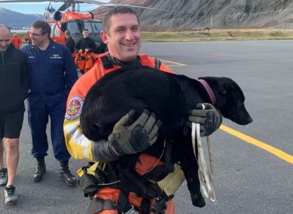 La cucciola di Labrador-Pitbull Grace è stata salvata dalle fredde acque dell’oceano