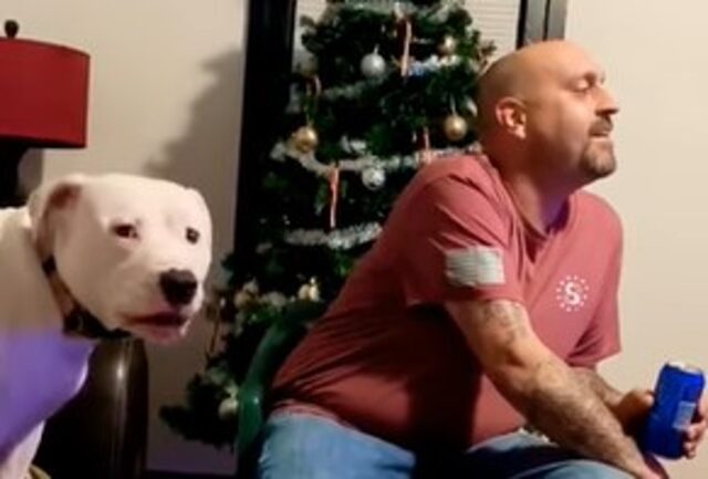 Un cucciolo di Pitbull si dispera perché il proprietario lo ignora (VIDEO)