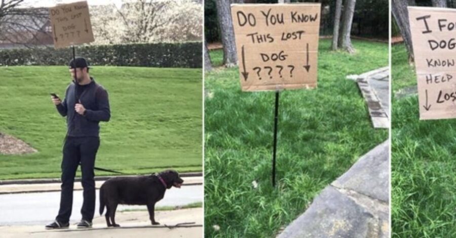 uomo cerca i padroni di un cane perduto