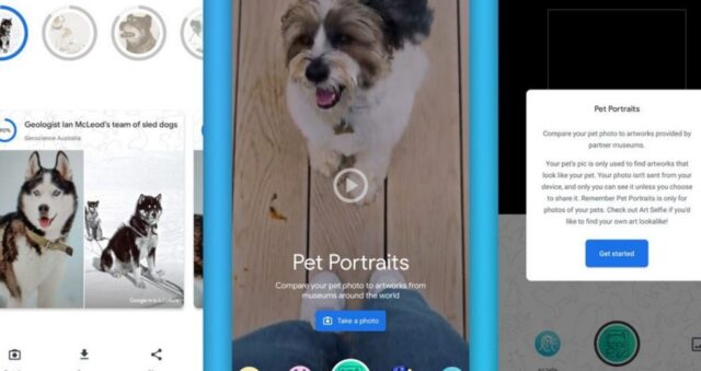 Pet Portraits: lo strumento di Google per trovare il “gemello perduto” del tuo animale domestico nelle opere d’arte