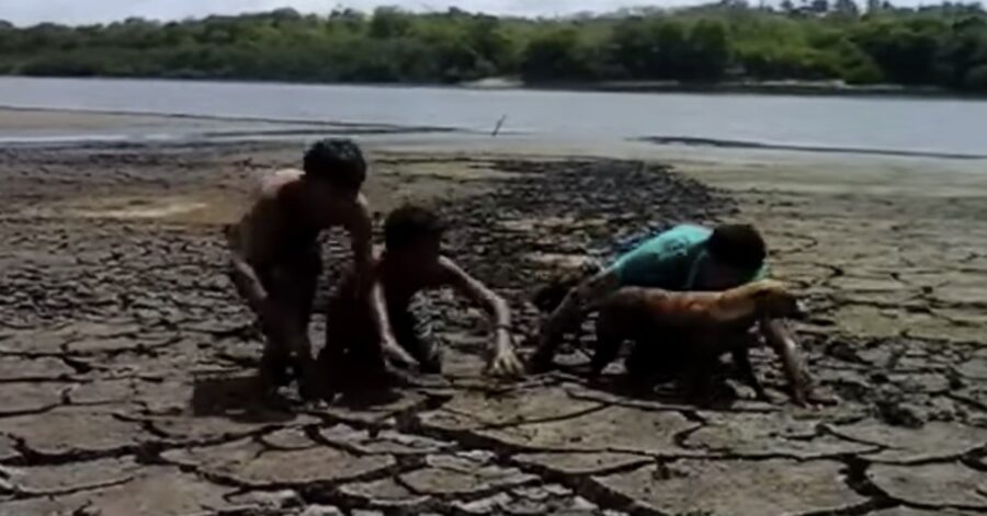 tre ragazzini salvano cane impantanato nel lago