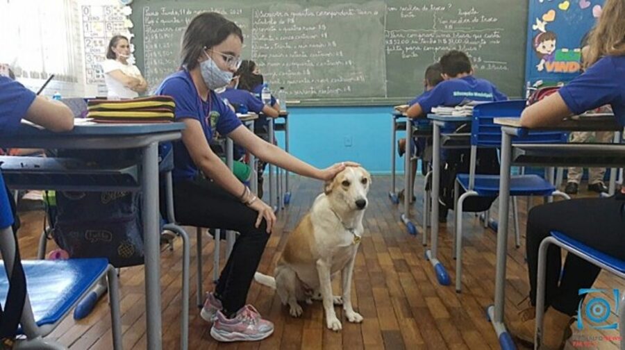 bamabina con cane