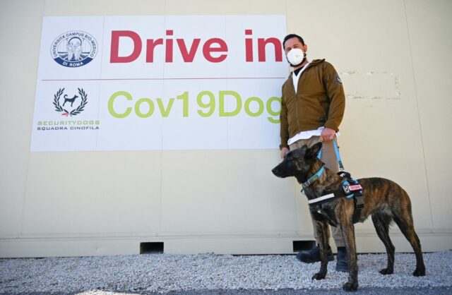 Test covid per i cuccioli di cane: in America si controlla così la trasmissione del virus tra i pelosi