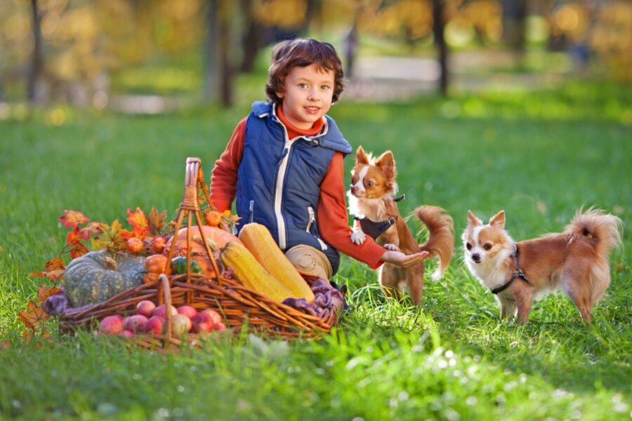 bambino natura amici