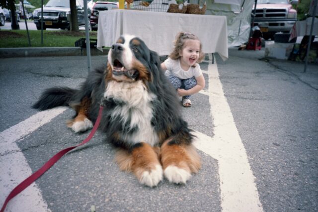 6 foto di cani che da piccole palle pelose sono diventati dei giganti