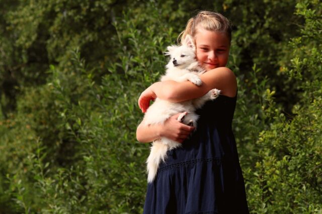 6 foto di cani scattate appena hanno capito che qualcuno li ha adottati