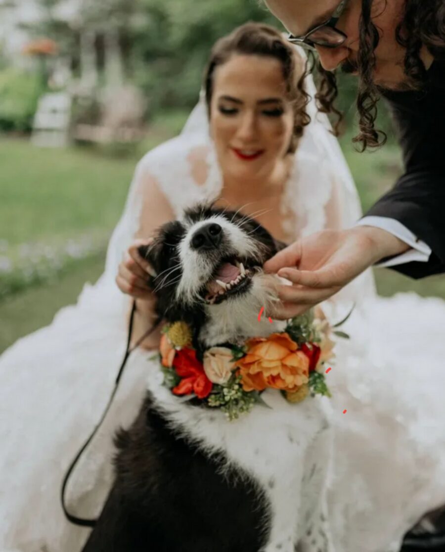 cane matrimonio fiori