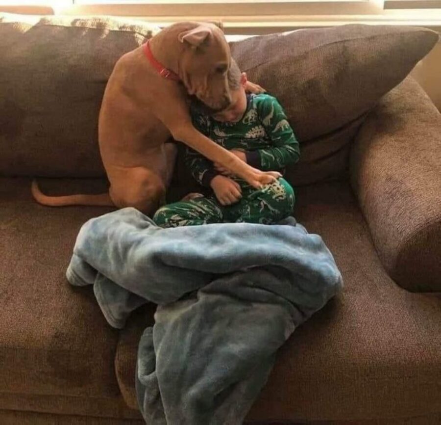 cane abbraccia amico