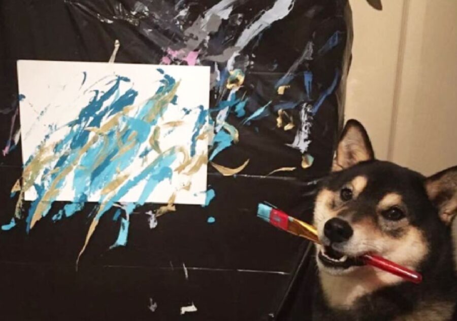 cane nato artista pittura