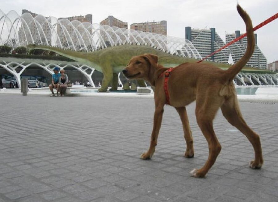 cane grosso come dinosauro