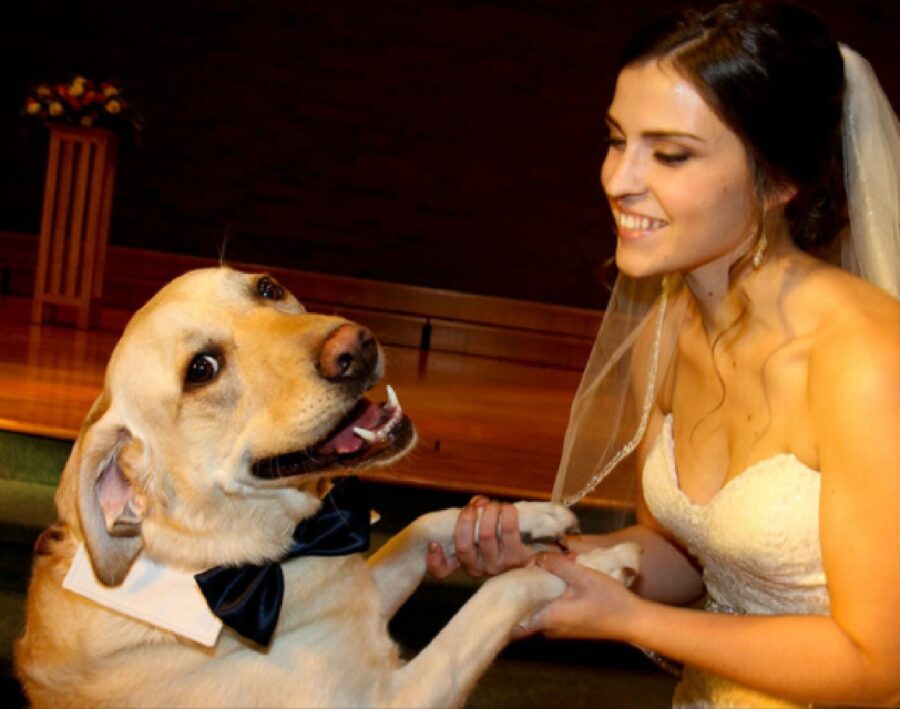 cagnolino balla con la sposa