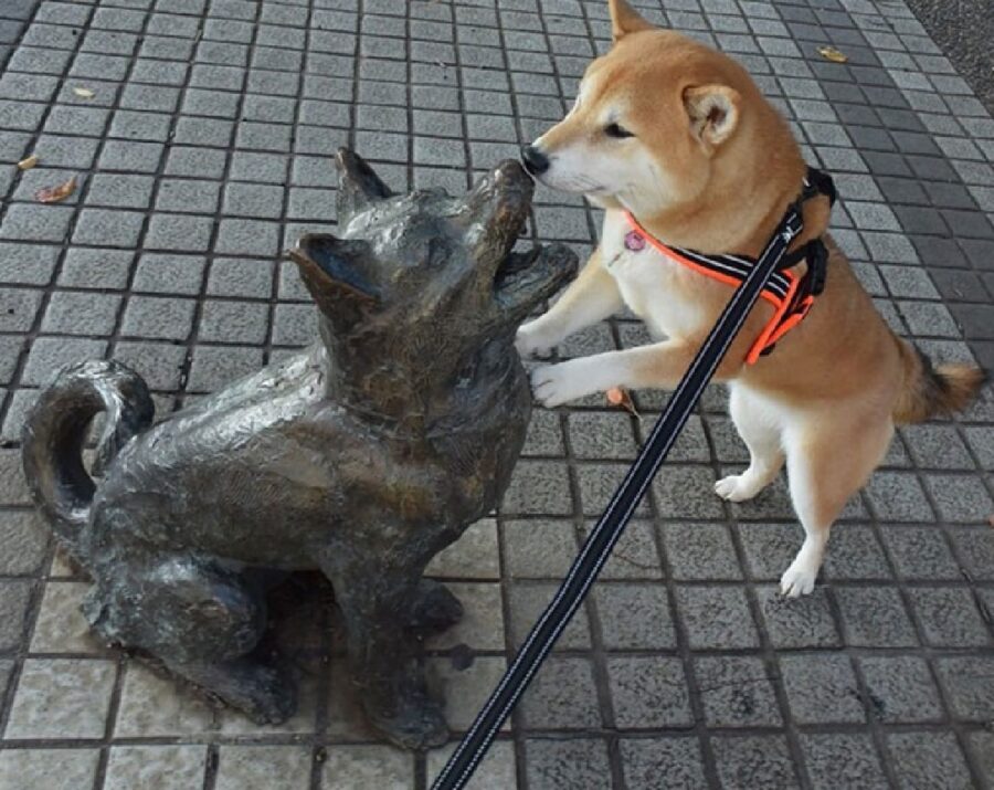 cane incontra statua simile