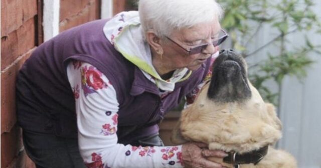 donna anziana bacia il suo cane