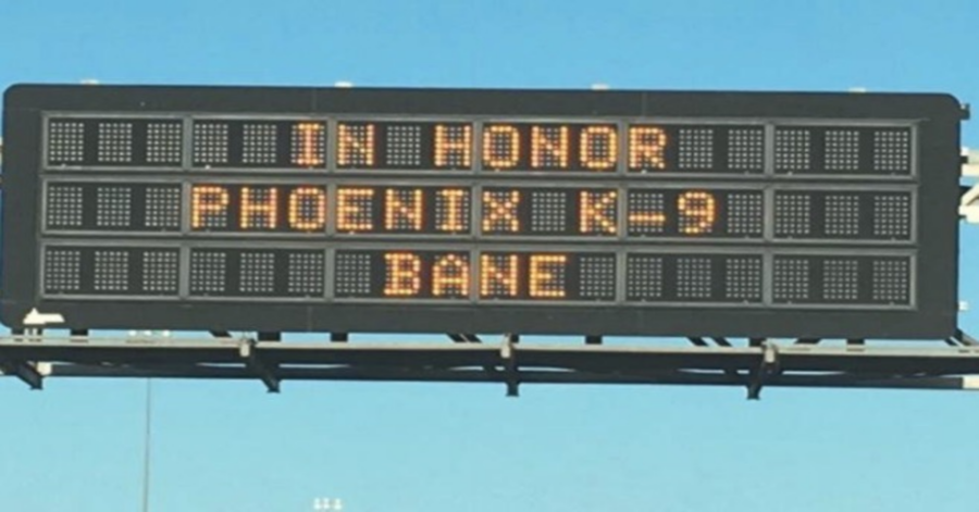 cartello in autostrada in onore di cane morto