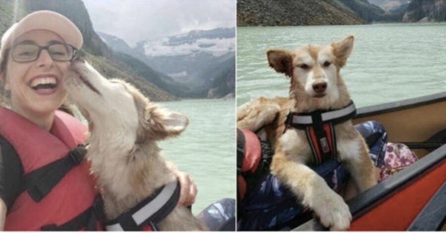 cagnolina felice con la sua mamma umana