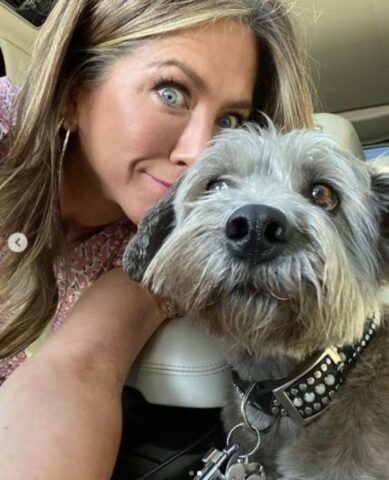 Jennifer Aniston crea un cartone animato identico al suo cane Clyde
