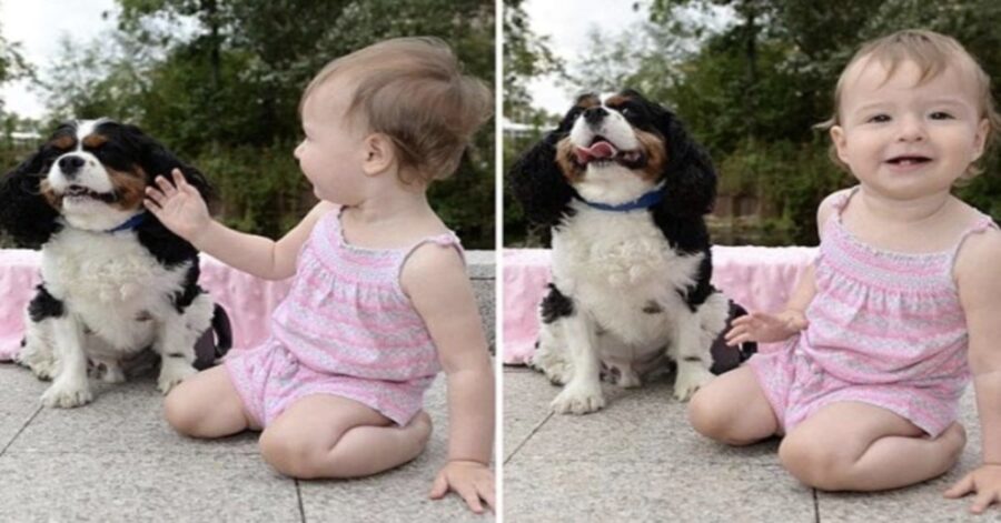 bambina gioca col suo cane