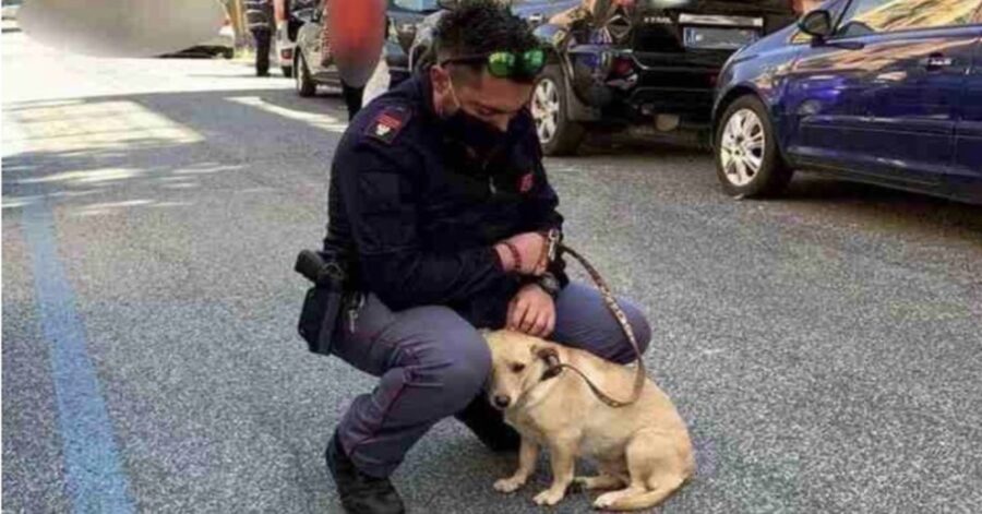 poliziotto con cane abbandonato