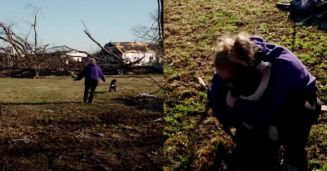 Nola, la cagnolona persa durante un tornado ritrova la sua umana (VIDEO)
