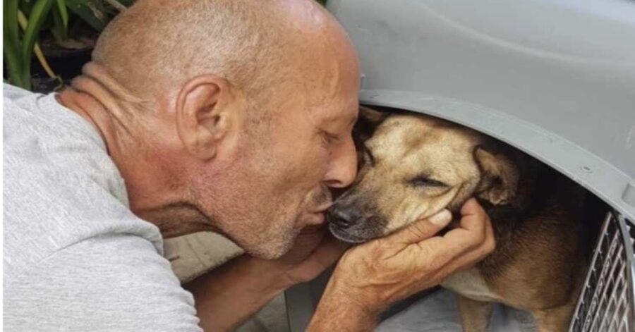 uomo bacia cane che ha salvato